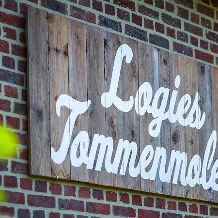 Logies Tommenmolen Leilighet Grimbergen Eksteriør bilde