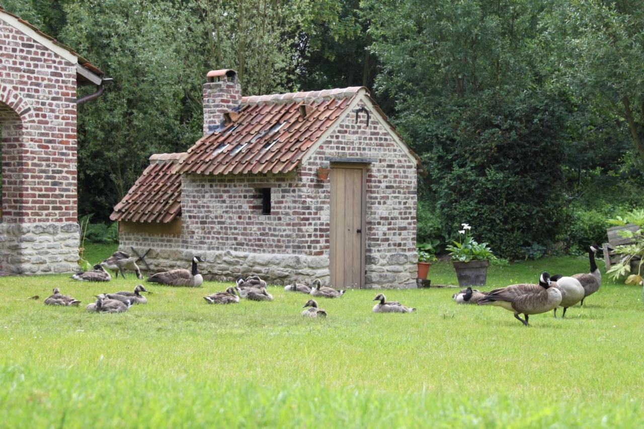 Logies Tommenmolen Leilighet Grimbergen Eksteriør bilde